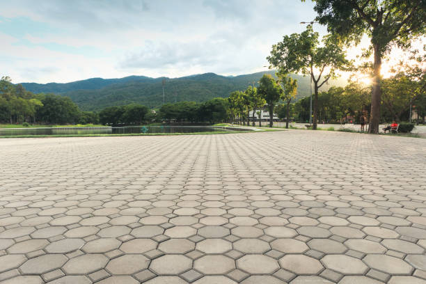 Best Professional Driveway Pavers  in Crescent City, FL